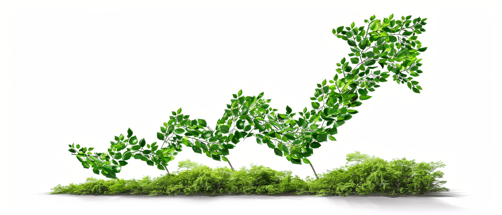 Growing Trading Journey